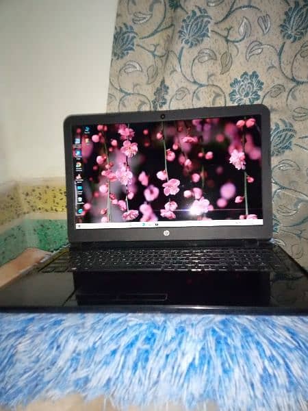 Hp Laptop 1