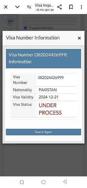 Qatar Freelance Azad Visa Available 1