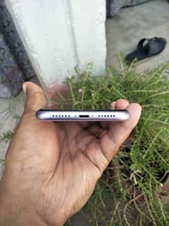 iPhone 11 none pta jv