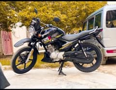 Mint Condition YBR 125 G (2020 end) for Sale in affordable Price