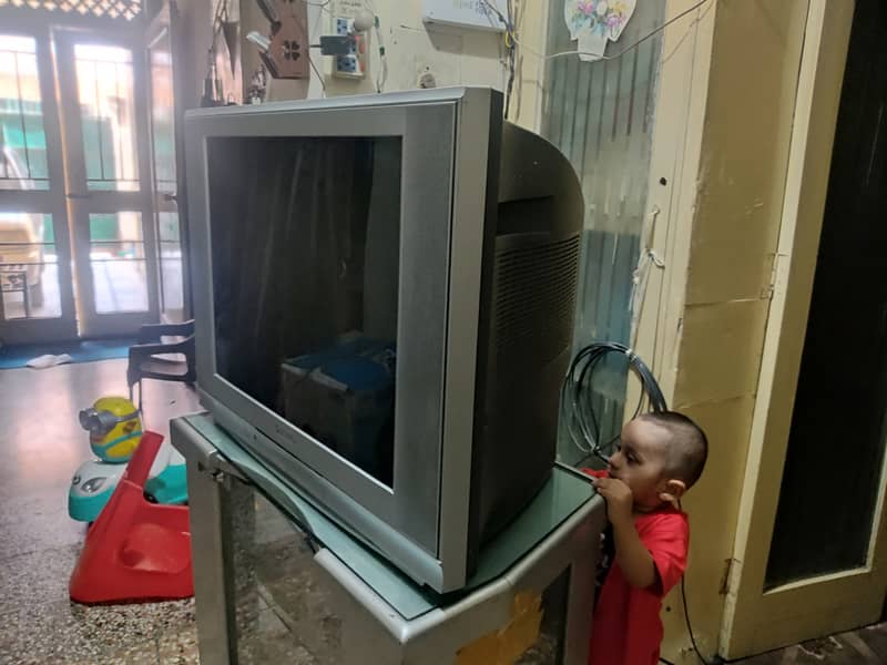 29 Inch Panasonic Television 1