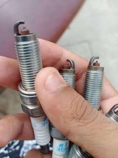 Honda civic genuine plugs