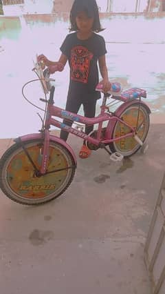 barbi cycle