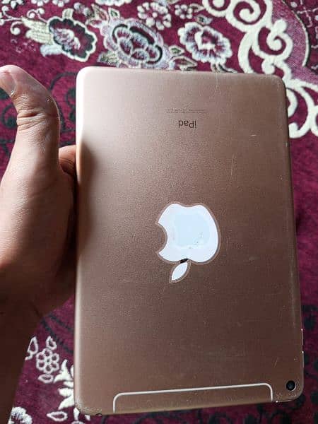 ipad mini 5 condition 10/10 3