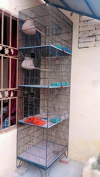 cage urgent for sale 1