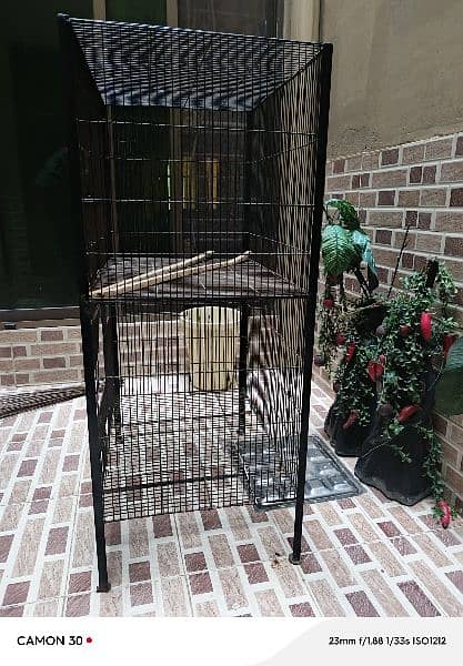 Australian parrots cage 0