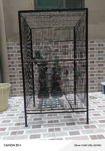 Australian parrots cage 1