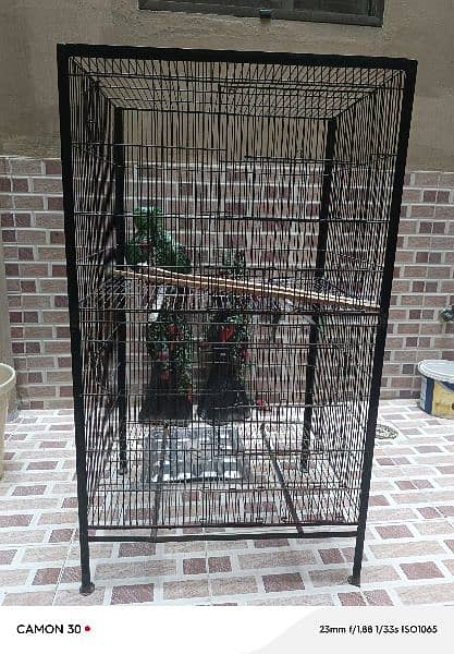 Australian parrots cage 2