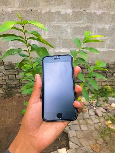 iPhone 8 Non Pta 64 Gb 1