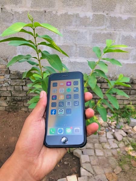 iPhone 8 Non Pta 64 Gb 2