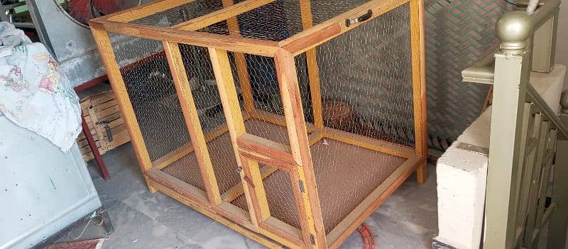 cage pure dyhar wood 0