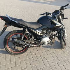 YBR 125