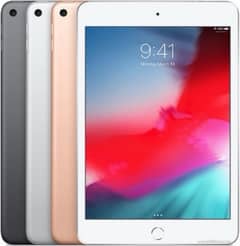 iPad mini 5 0