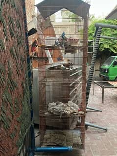 Figeon cage and good condition 0