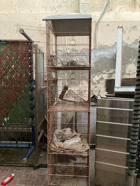 Figeon cage and good condition 1