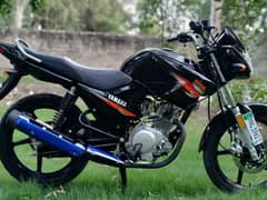 Yamaha ybr 03313939676