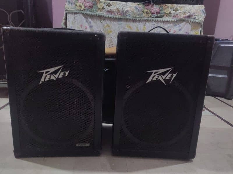 Peavey DL 115 Scorpion Original 4