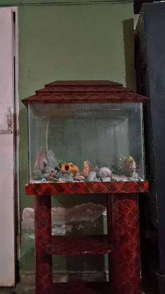 Fish Aquarium for sale 1