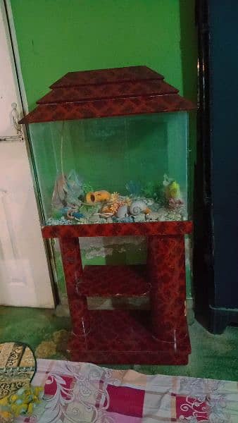 Fish Aquarium for sale 3