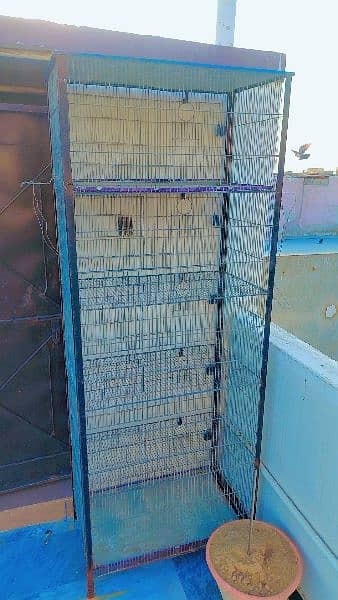 1 cage for birds 2