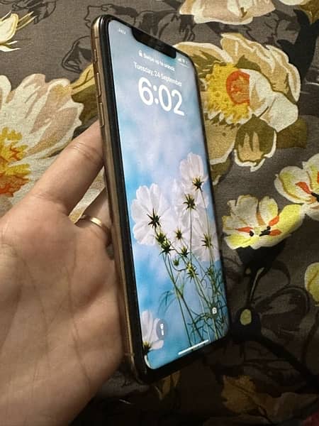 iphone xs max 2