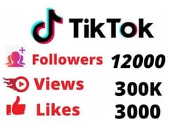 tiktok views , Favorite , comment, likes service