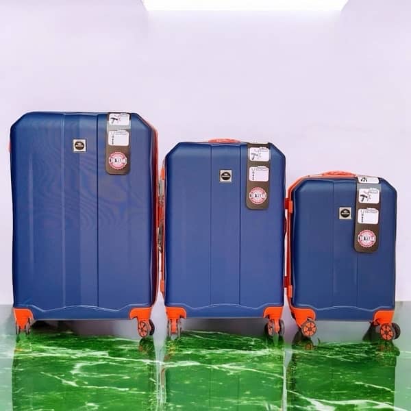 Travel trolley bags / luggage bags 10