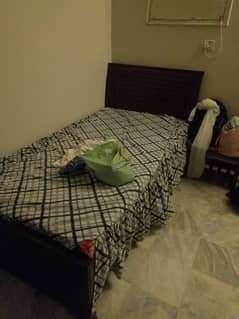 Single Bed (without mattress) 0