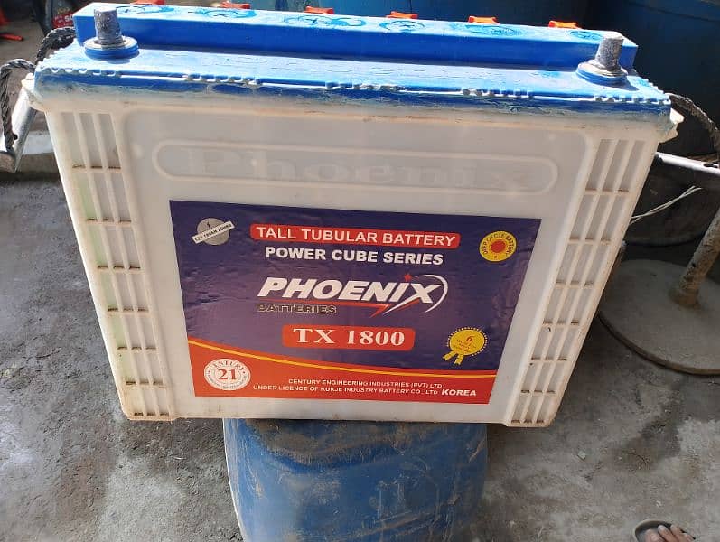 Phoenix Tubelar Battery's (Solar & Inverter/UPS) 3