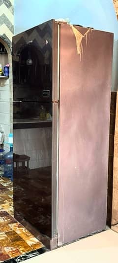 kenwood persona glass door fridge