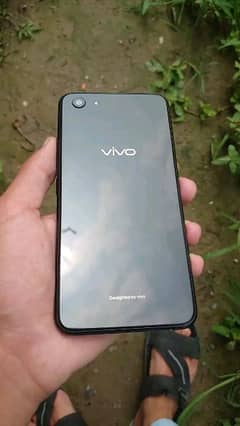 vivo