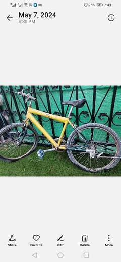 Bicycle for sale