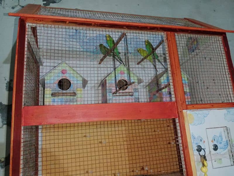 New pinjra or 2 pairs birds 6