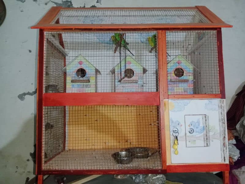 New pinjra or 2 pairs birds 7