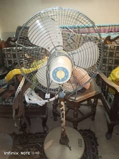 Breeze 22" Pedestal Fan