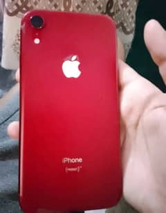 iPhone Xr pta approve