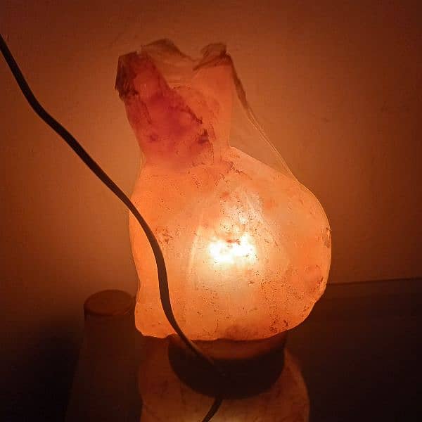 Himalayan salt lamp 0