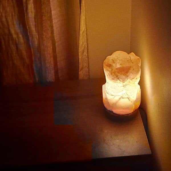 Himalayan salt lamp 7