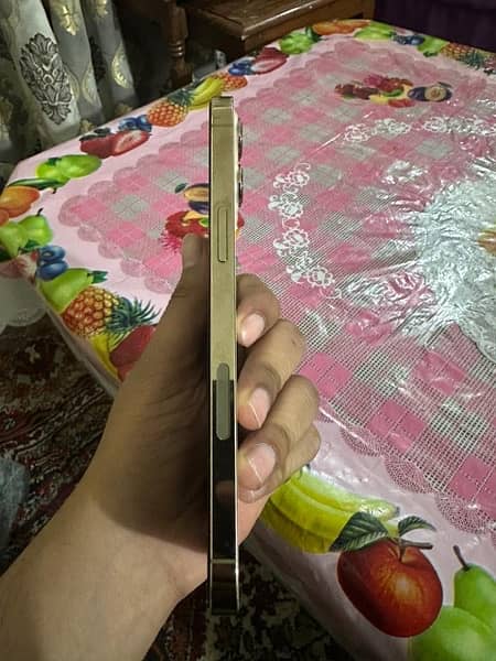 IPhone 12 pro max pta approved 2