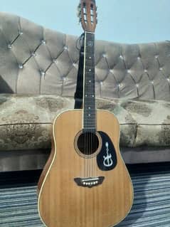 Acoustic Guitar