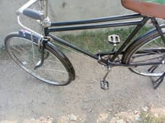 Sohrab 22 inch Cycle