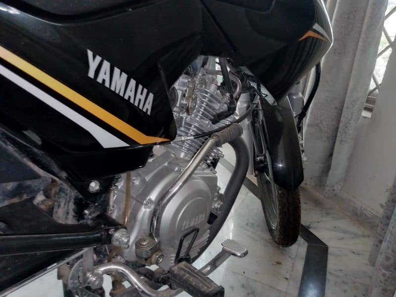 YAMAHA-YBR 1