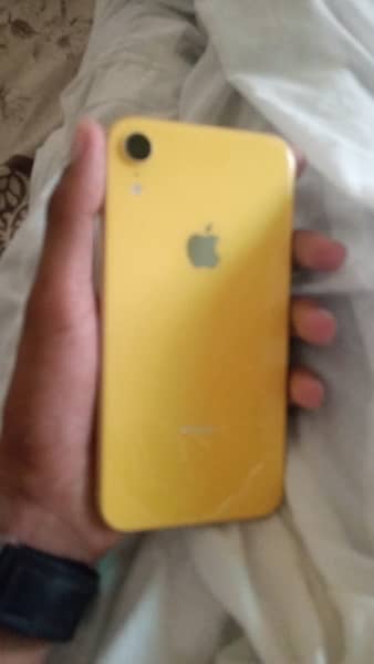 iphone Xr 6