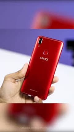 vivo