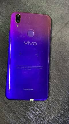 vivo