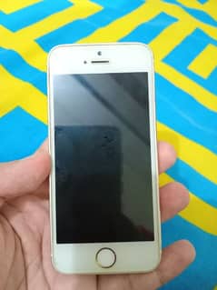 Apple iphone 5s