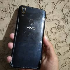 vivo