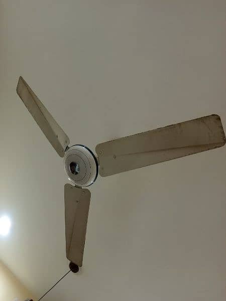 pak fan just like new for sale 0