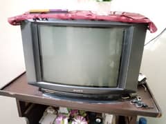 Sony T. V