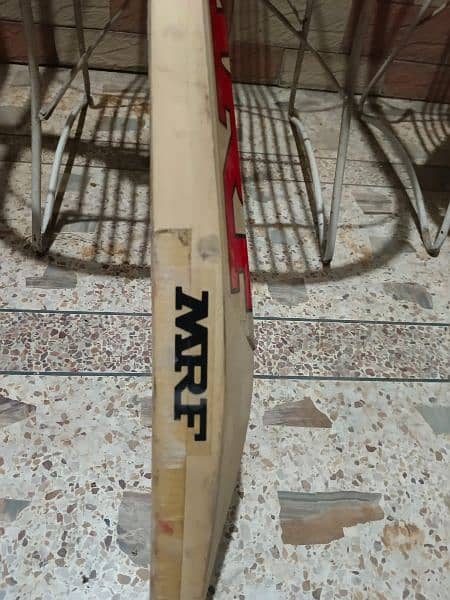 MRF Kashmir willow hardball cricket bat wit 11 grains 2